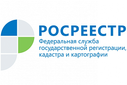 Как купить квартиру и не стать жертвой мошенников?